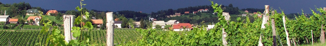 Satler okna in vrata - Slovenske Konjice